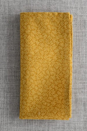 Mustard Fern – Hugh & Crye - 1